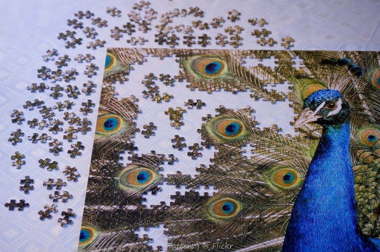 peacock puzzle